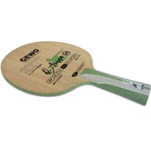 Gewo / Aruna Carbon All +
