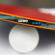 Gewo / Rave Speed