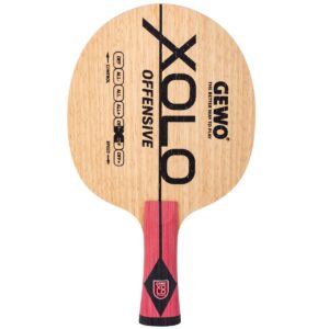 Gewo / Xolo Offensive